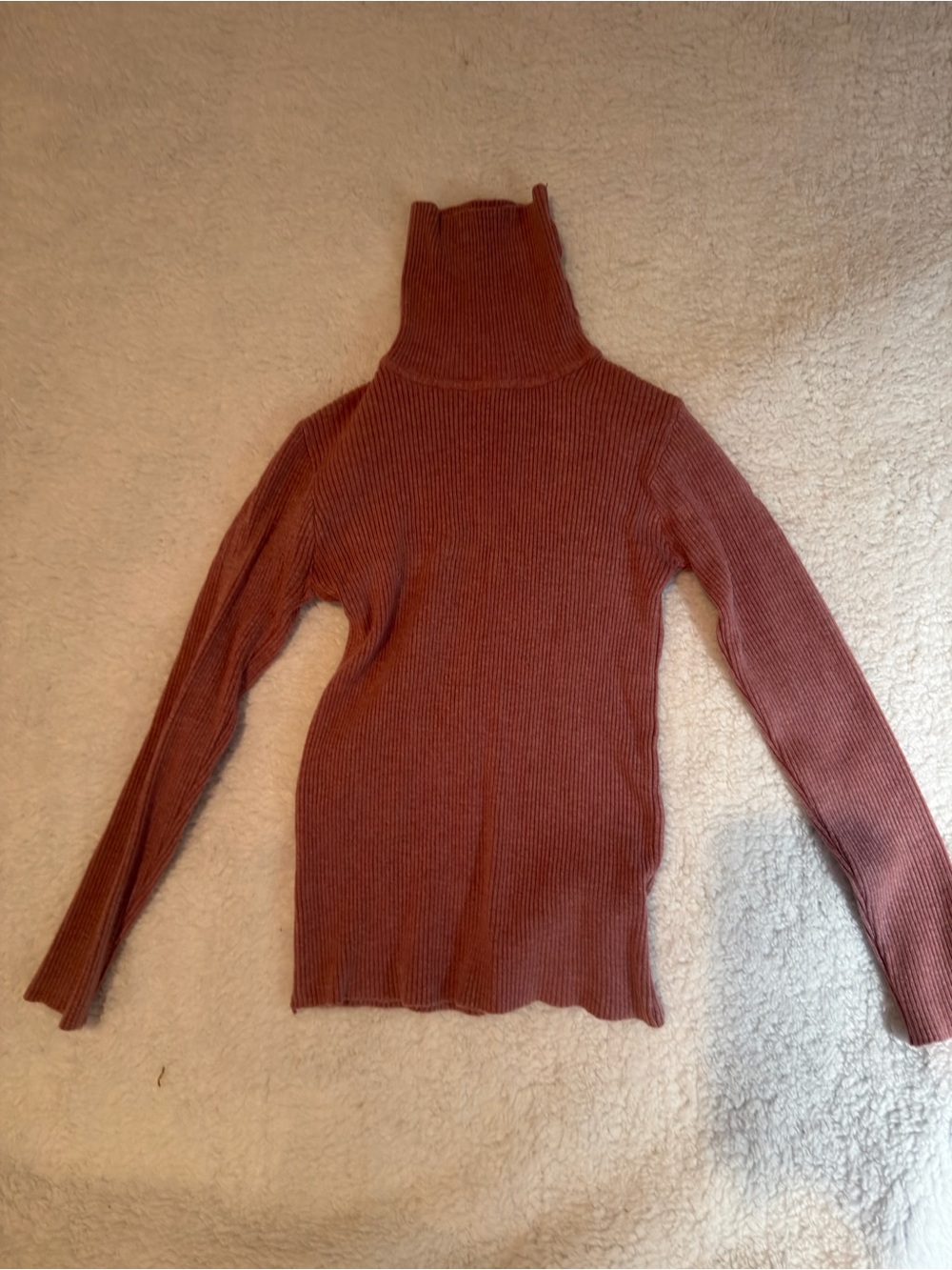Ribbed Turtleneck Sweater in Rust